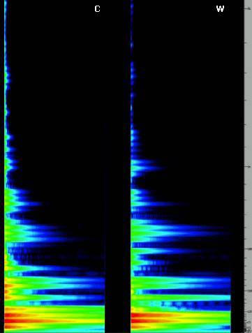 Spectrogram up to 2kHz